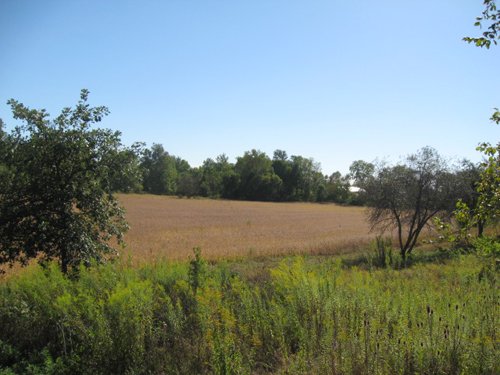 Property photo 69 - 80 Acres Offered in 4 Tracts - Horse Farm